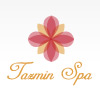 Design Logo Tazmin